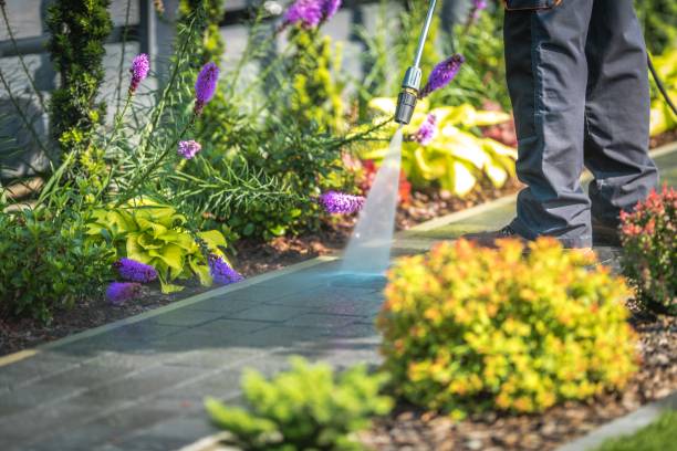 Best Restaurant Pressure Washing  in Guilford Center, CT